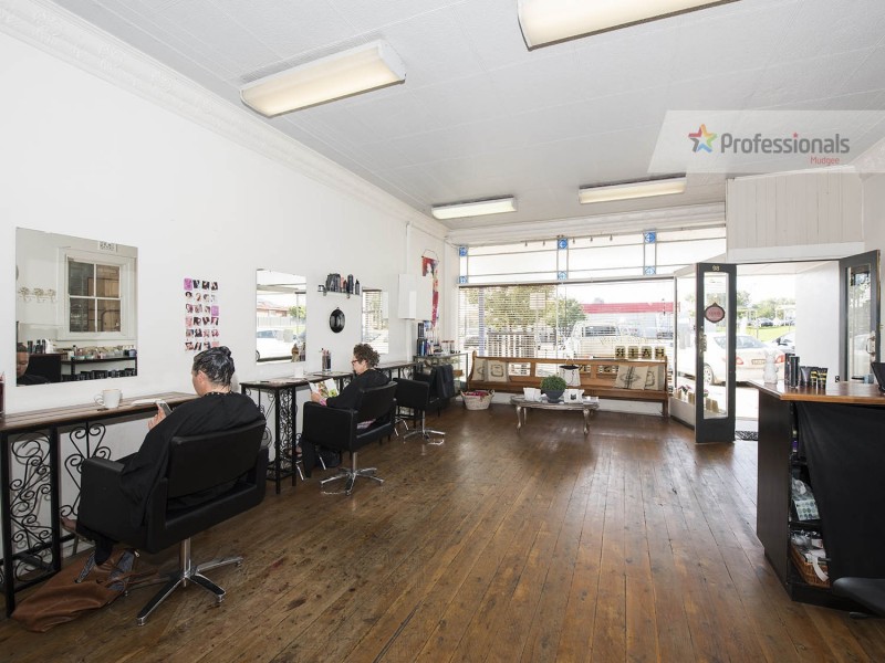 98 Church Street, Mudgee NSW 2850