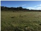 72 Suzanne Road, Mudgee NSW 2850