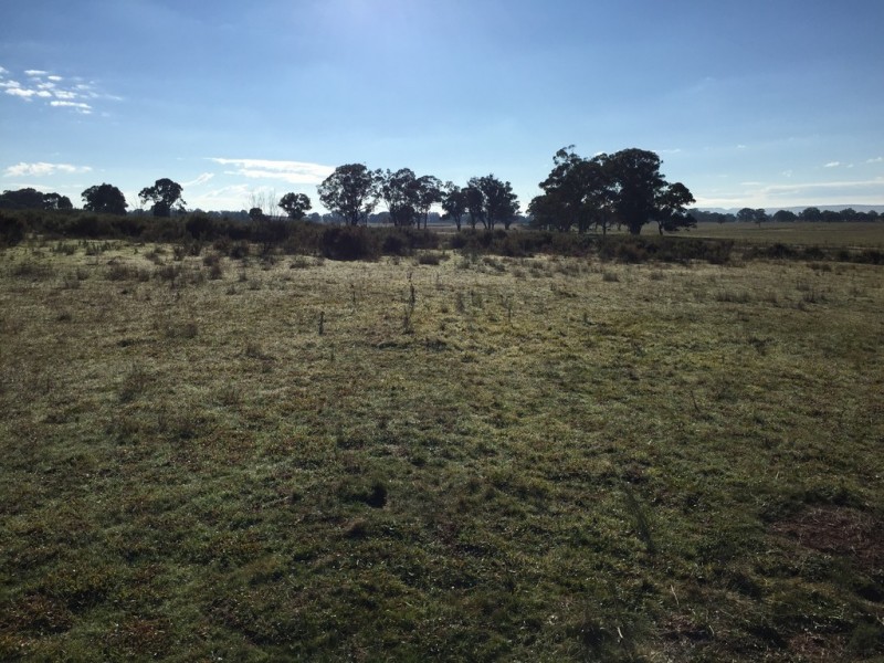 72 Suzanne Road, Mudgee NSW 2850
