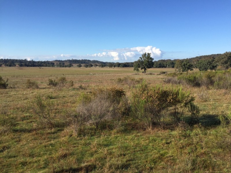 72 Suzanne Road, Mudgee NSW 2850