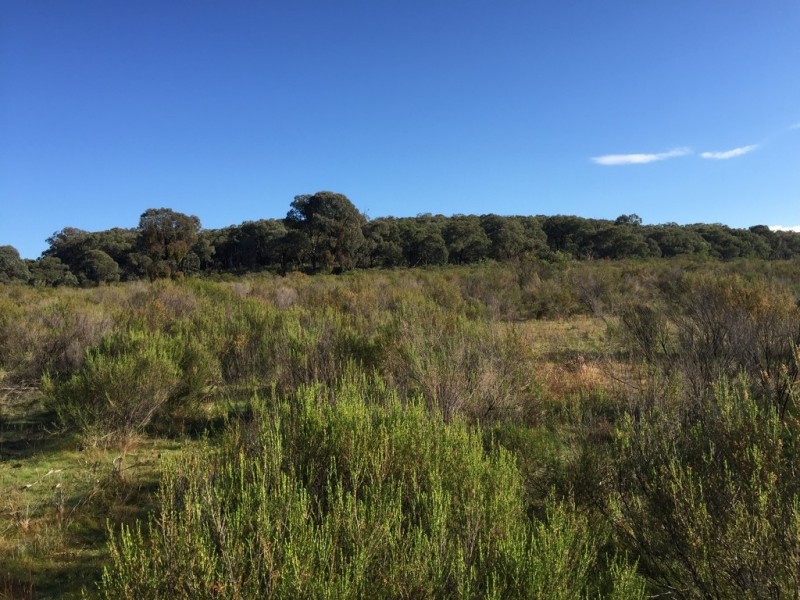 72 Suzanne Road, Mudgee NSW 2850