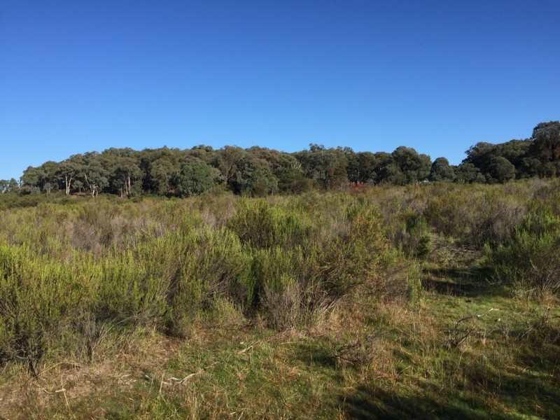 72 Suzanne Road, Mudgee NSW 2850
