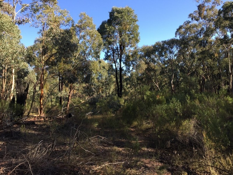 72 Suzanne Road, Mudgee NSW 2850