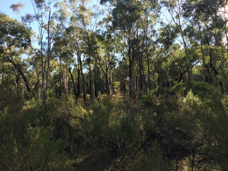 72 Suzanne Road, Mudgee NSW 2850