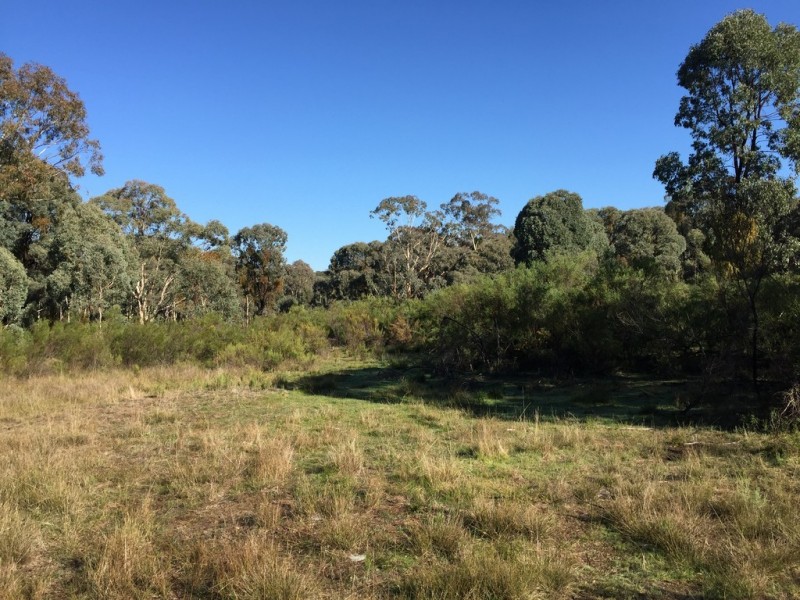 72 Suzanne Road, Mudgee NSW 2850