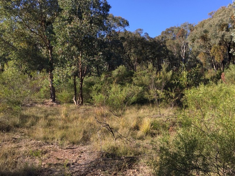 72 Suzanne Road, Mudgee NSW 2850