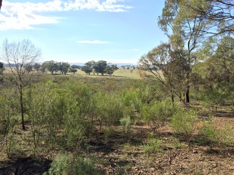 72 Suzanne Road, Mudgee NSW 2850