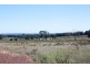 1869 Golden Highway, Mudgee NSW 2850