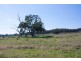 1869 Golden Highway, Mudgee NSW 2850