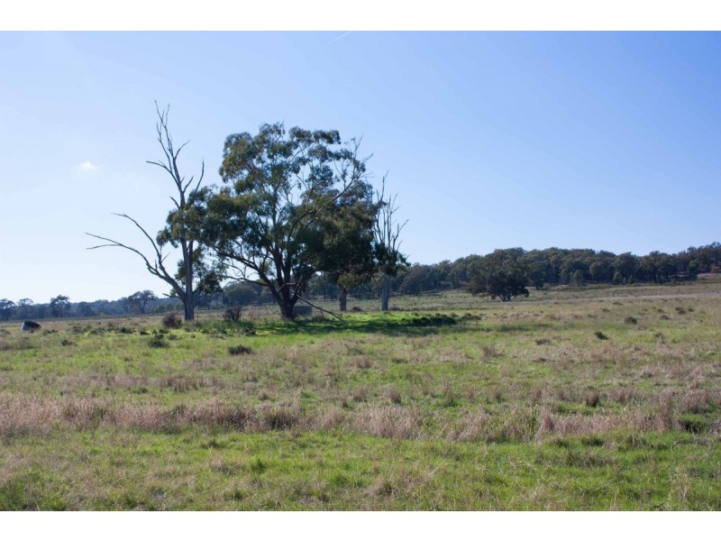 1869 Golden Highway, Mudgee NSW 2850