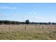 1869 Golden Highway, Mudgee NSW 2850