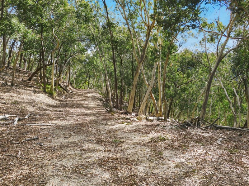 1092 Aarons Pass Road, Carcalgong NSW 2850