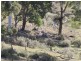 1092 Aarons Pass Road, Carcalgong NSW 2850