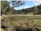 1092 Aarons Pass Road, Carcalgong NSW 2850