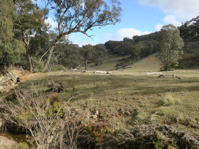 1092 Aarons Pass Road, Carcalgong NSW 2850