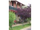 Mudgee NSW 2850