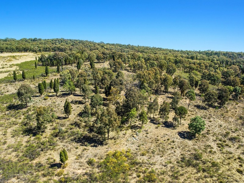 1828 Spring Ridge Road, Mudgee NSW 2850