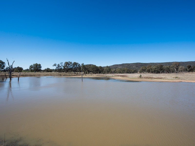 584 Yarrawonga Road, Mudgee NSW 2850