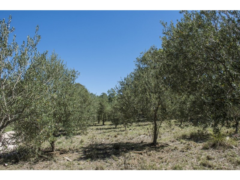 1972 Spring Ridge Road, Mudgee NSW 2850