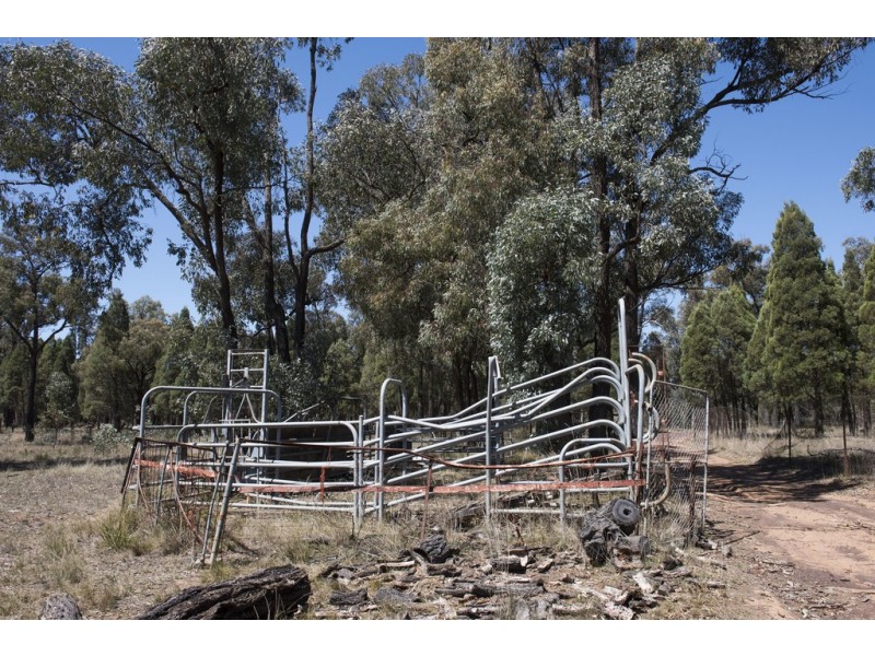 1972 Spring Ridge Road, Mudgee NSW 2850