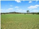 227 Frog Rock Road, Mudgee NSW 2850
