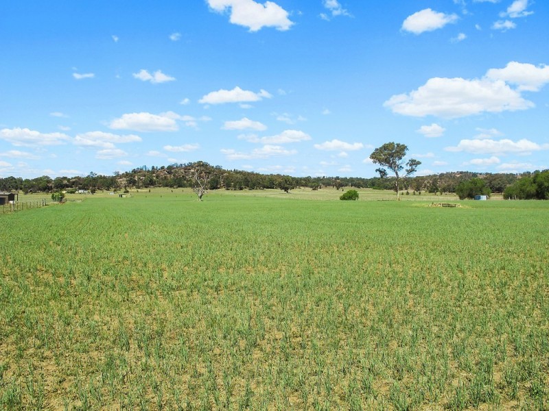227 Frog Rock Road, Mudgee NSW 2850