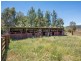 568 Yarrawonga Road, Mudgee NSW 2850