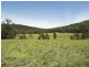 “Timberlight” 2626 Sandy Creek Road, Dunedoo NSW 2844