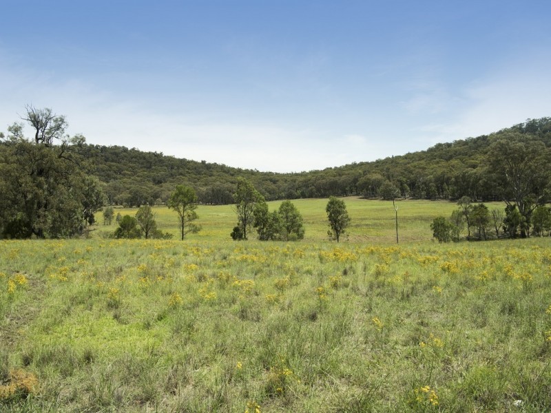“Timberlight” 2626 Sandy Creek Road, Dunedoo NSW 2844