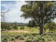“Timberlight” 2626 Sandy Creek Road, Dunedoo NSW 2844