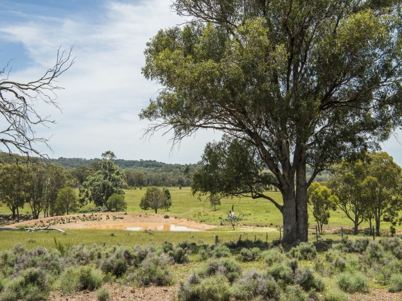 “Timberlight” 2626 Sandy Creek Road, Dunedoo NSW 2844