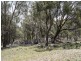 “Timberlight” 2626 Sandy Creek Road, Dunedoo NSW 2844