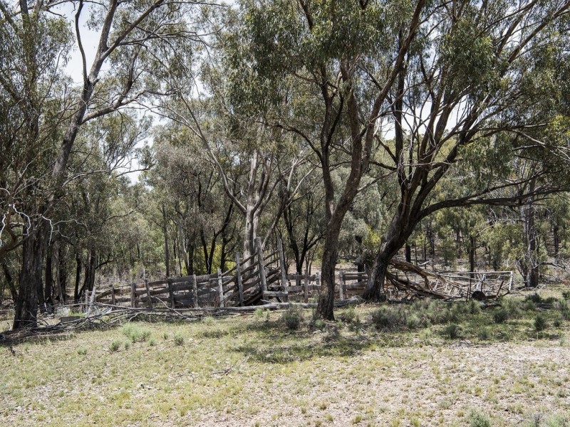 “Timberlight” 2626 Sandy Creek Road, Dunedoo NSW 2844