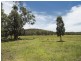 “Timberlight” 2626 Sandy Creek Road, Dunedoo NSW 2844