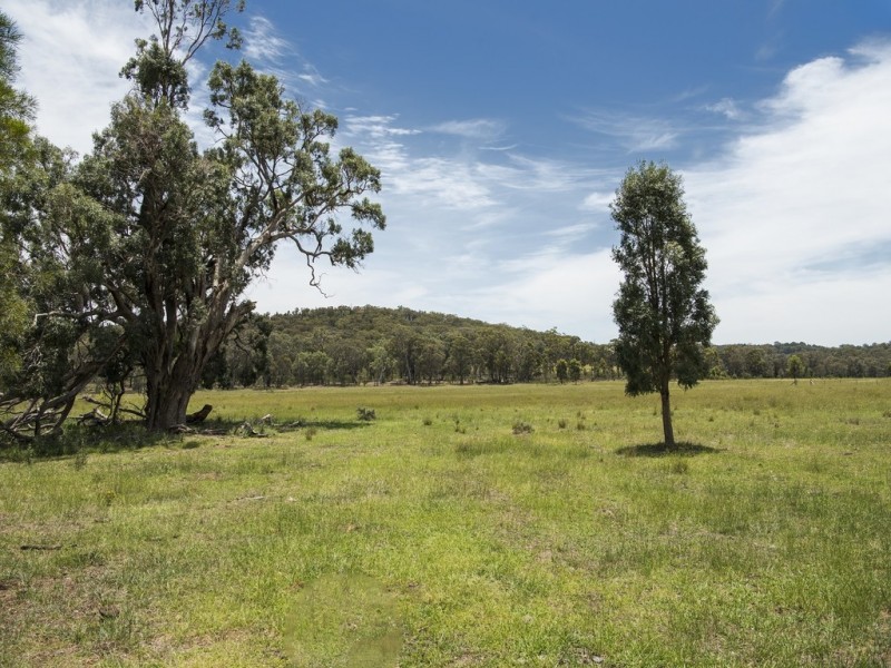 “Timberlight” 2626 Sandy Creek Road, Dunedoo NSW 2844