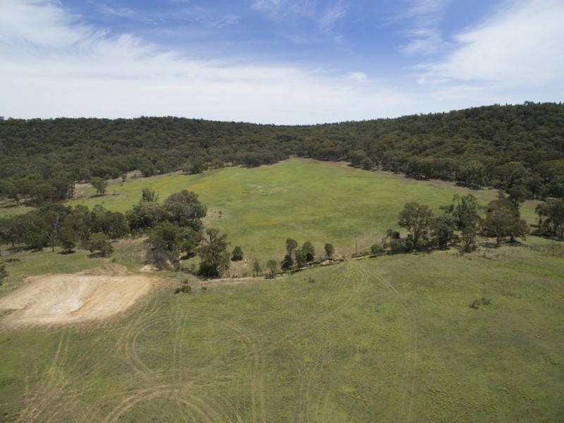 “Timberlight” 2626 Sandy Creek Road, Dunedoo NSW 2844