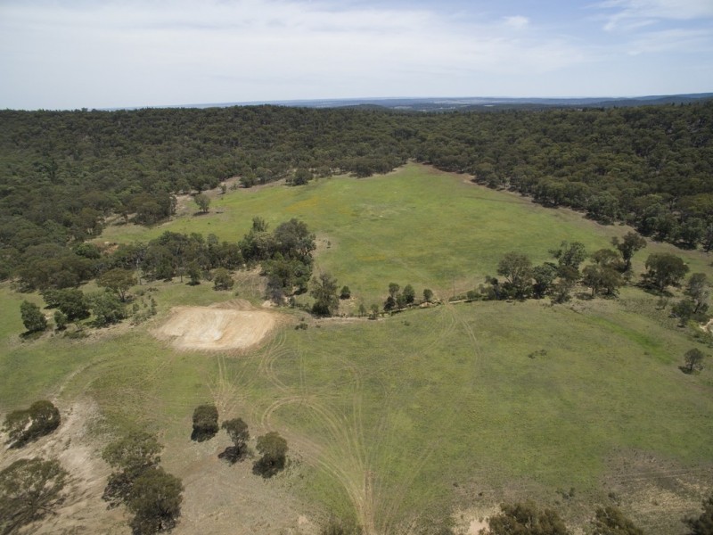 “Timberlight” 2626 Sandy Creek Road, Dunedoo NSW 2844