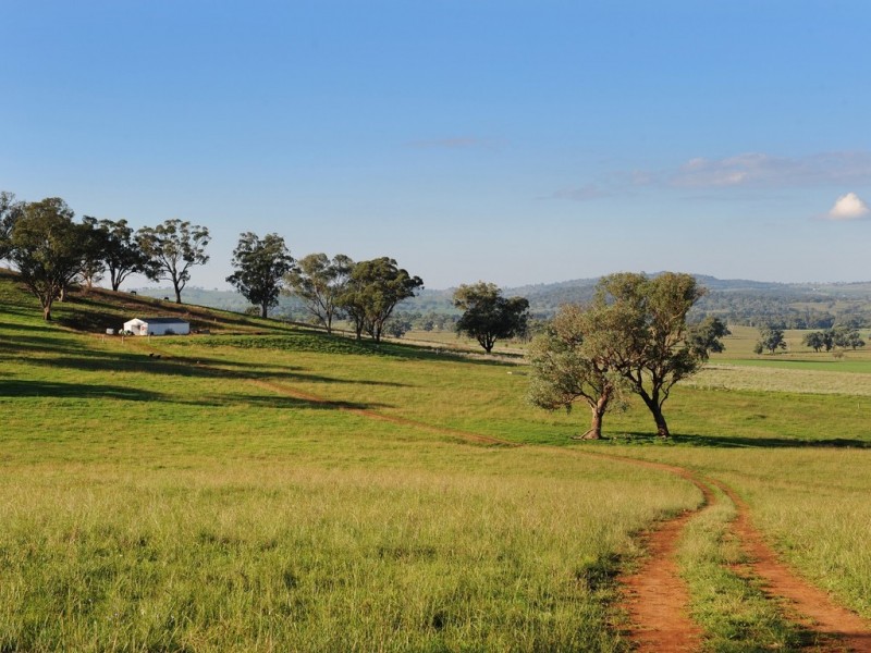76 Crossings Road, Mudgee NSW 2850