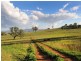76 Crossings Road, Mudgee NSW 2850