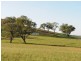 76 Crossings Road, Mudgee NSW 2850