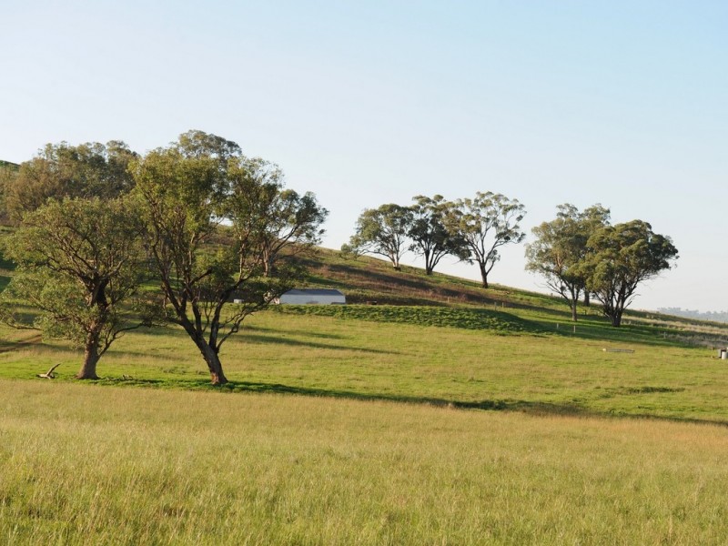 76 Crossings Road, Mudgee NSW 2850