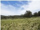 Lot 3 Sandy Creek Road, Mudgee NSW 2850