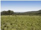 Lot 3 Sandy Creek Road, Mudgee NSW 2850