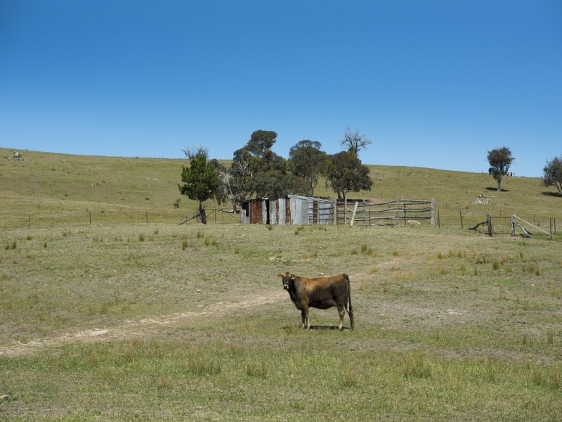 1379 Pyramul Road, Mudgee NSW 2850