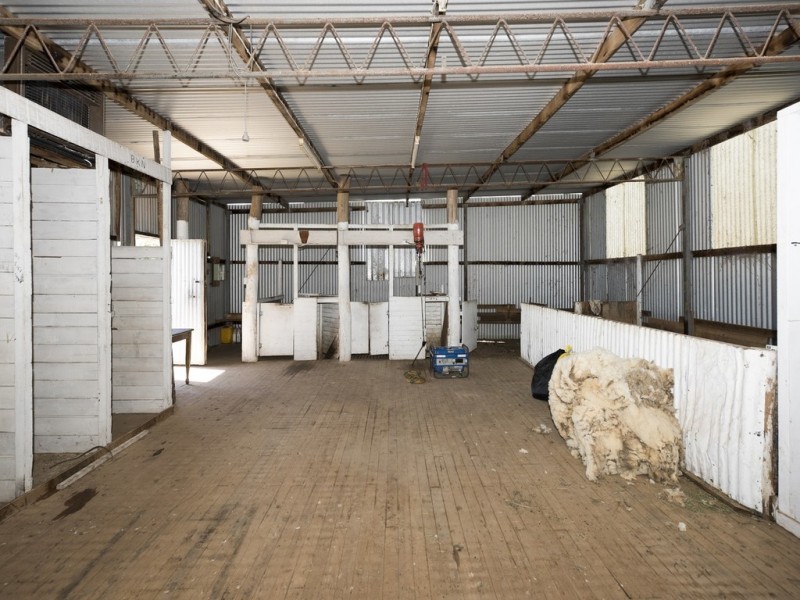 1379 Pyramul Road, Mudgee NSW 2850