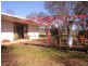 Mudgee NSW 2850