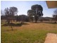Mudgee NSW 2850