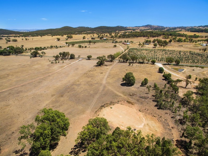 56 Wollar Road, Mudgee NSW 2850