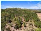 56 Wollar Road, Mudgee NSW 2850