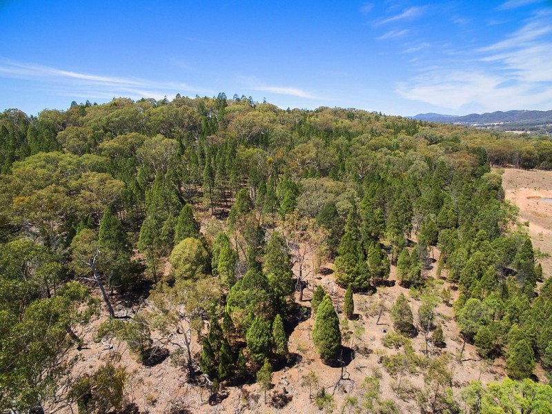56 Wollar Road, Mudgee NSW 2850